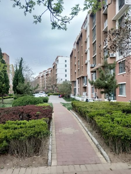 世纪花园(二期),南山中路-烟台世纪花园(二期)二手房,租房,房价-烟台