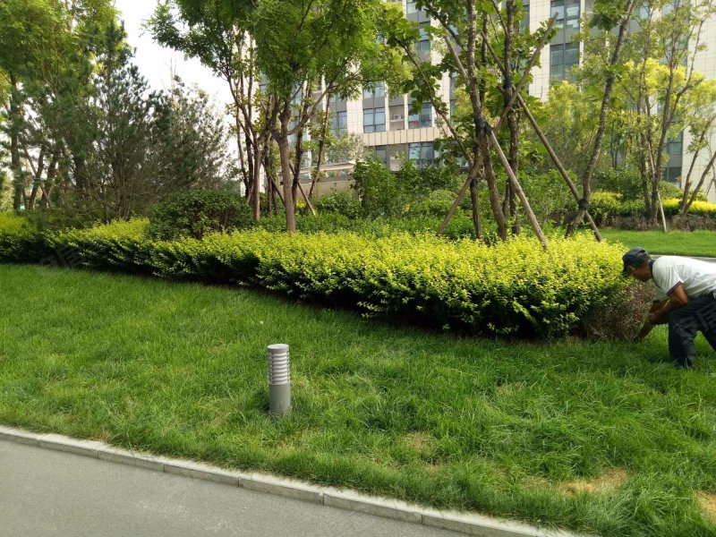 天裕昕园(西区)