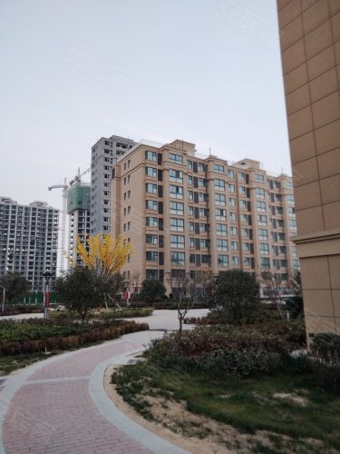 育龙学府世家,清泉路 - 冠县育龙学府世家二手房,租房,房价-冠县安居