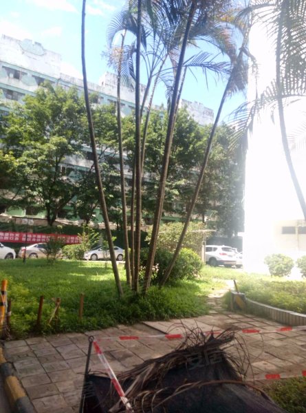 华联花园,南山大道1109号-深圳华联花园二手房,租房,房价-深圳安居客