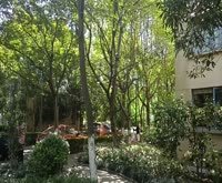 万科假日风景(春申万科城一期) 