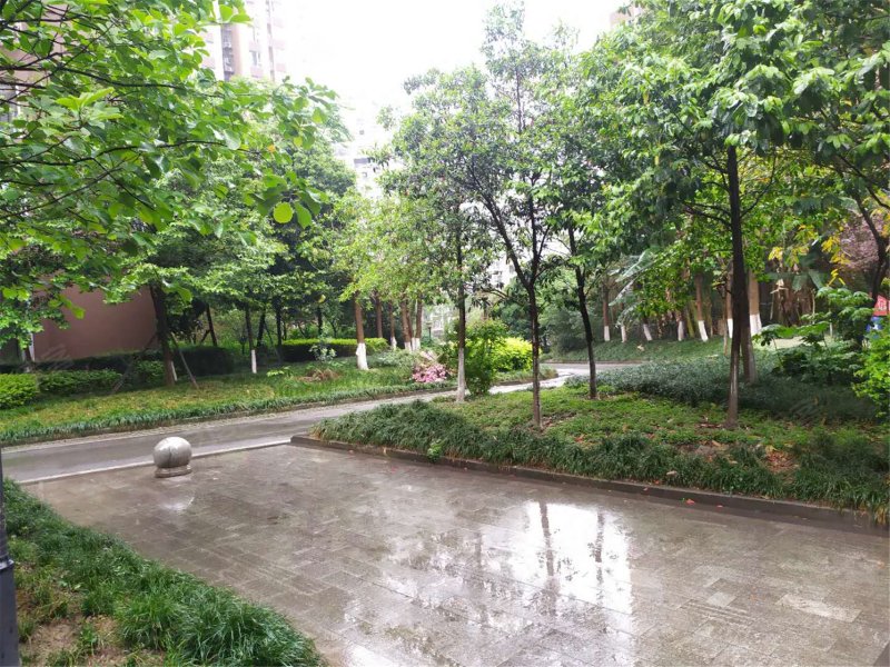 海桐小区三期,水杉街558号-成都海桐小区三期二手房,租房,房价-成都