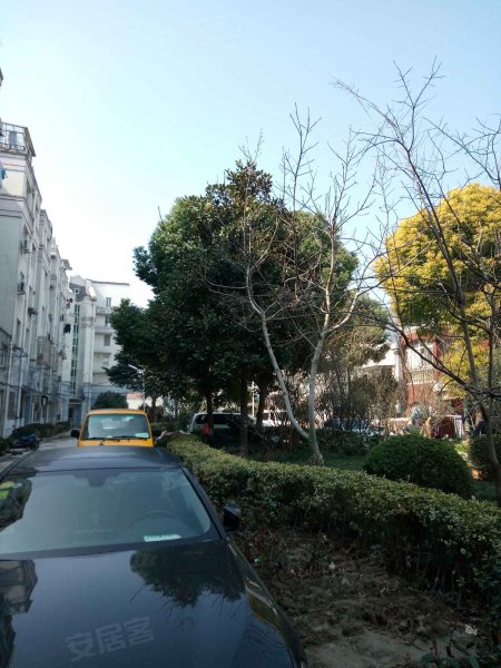 九里亭花苑,博安路8弄-上海九里亭花苑二手房,租房,房价-上海安居客