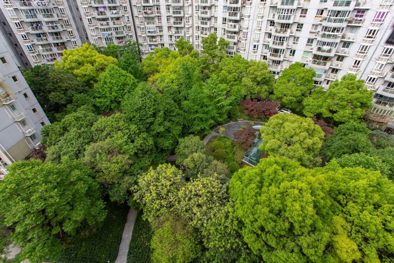 静安河滨花园,西苏州路85弄-上海静安河滨花园二手房,租房,房价-上海