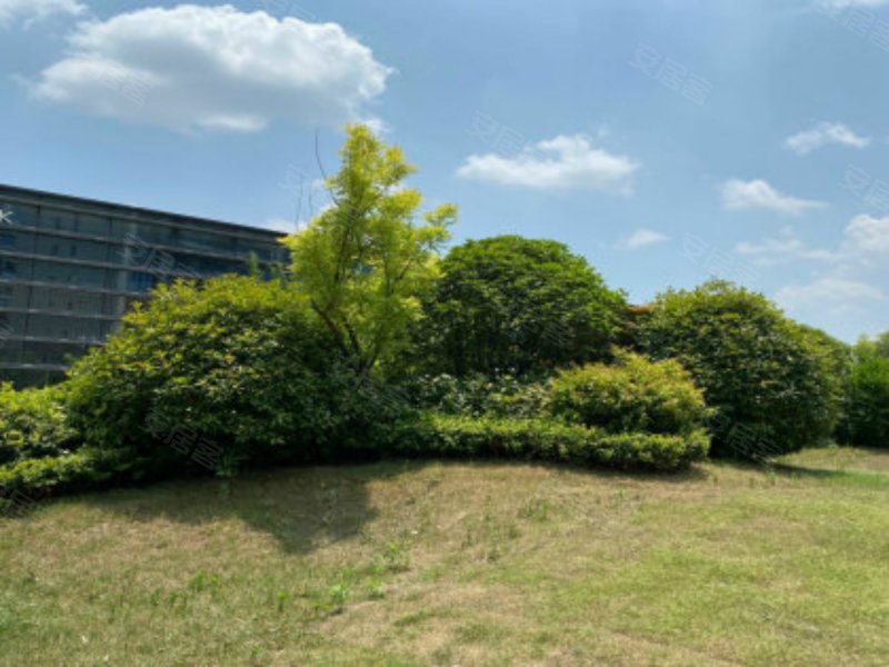 碧桂园中央公园