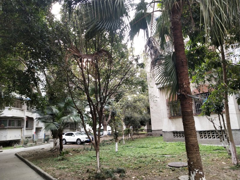 花园小区(涪城),临园路西段5号-绵阳花园小区(涪城)二手房,租房,房价