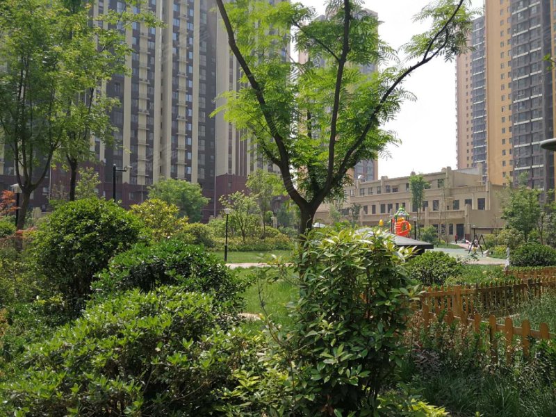 满堂悦moma,锦业路88号-西安满堂悦moma二手房,租房,房价-西安安居客