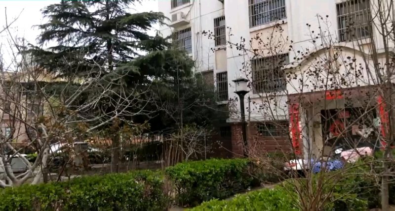 帝都花园(牡丹)