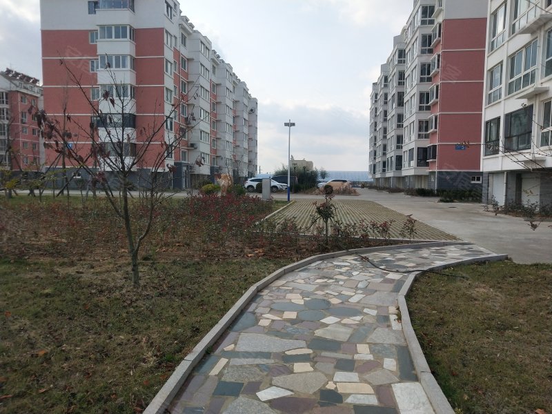 日照花园,鑫城街,近浦东路-石家庄日照花园二手房,租房,房价-石家庄