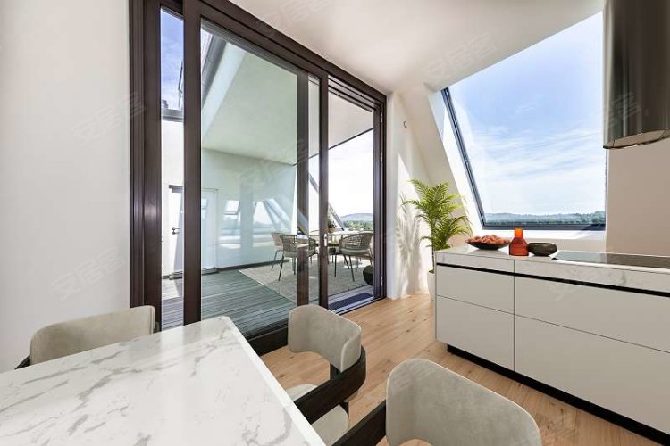 奥地利维也纳约¥1501万AustriaViennaApartment出售二手房公寓图片