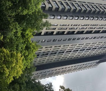 奥体  仁恒江湾城二期  3室  2厅