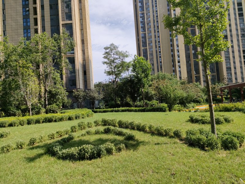 升龙广场,鹤淇大道-鹤壁升龙广场二手房,租房,房价-鹤壁安居客