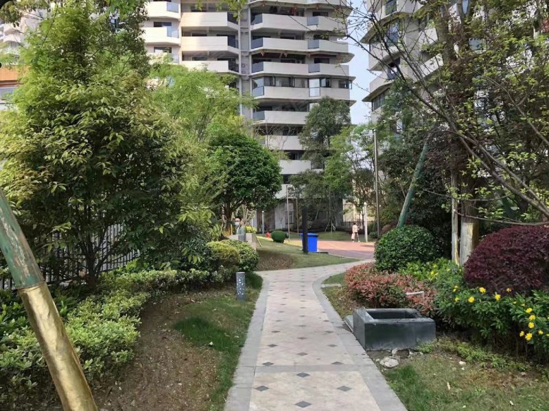 鸿通凤凰国际,三苏路,近瑞祥路-乐山鸿通凤凰国际二手房,租房,房价