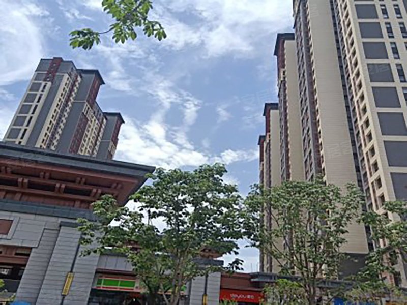 蓝光公园华府世家