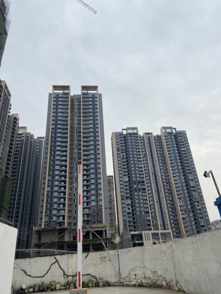 帝一广场,建材路271号,龙都北路68号-成都帝一广场二手房,租房,房价