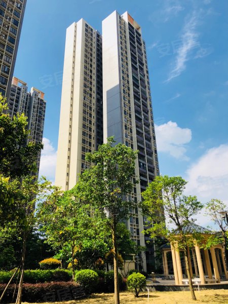 凤凰春天花园,清远大道-清远凤凰春天花园二手房,租房,房价-清远安居