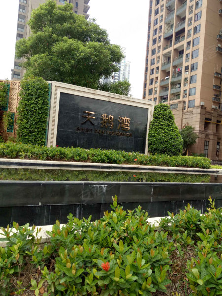 天鹅湾,天鹅街13号-广州天鹅湾二手房,租房,房价-广州安居客