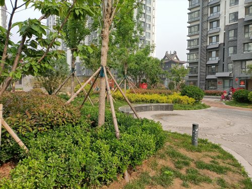 金悦华府,水泊东路9号 - 梁山金悦华府二手房,租房,房价-梁山安居客