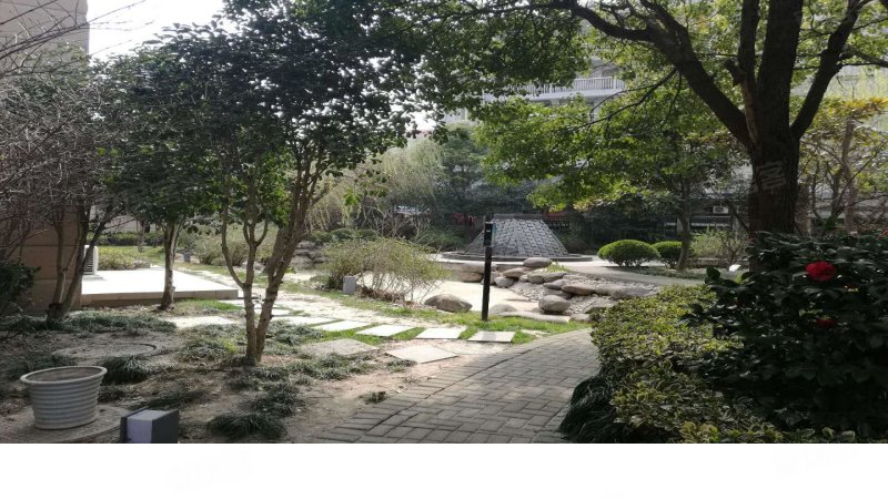 复城国际(别墅)