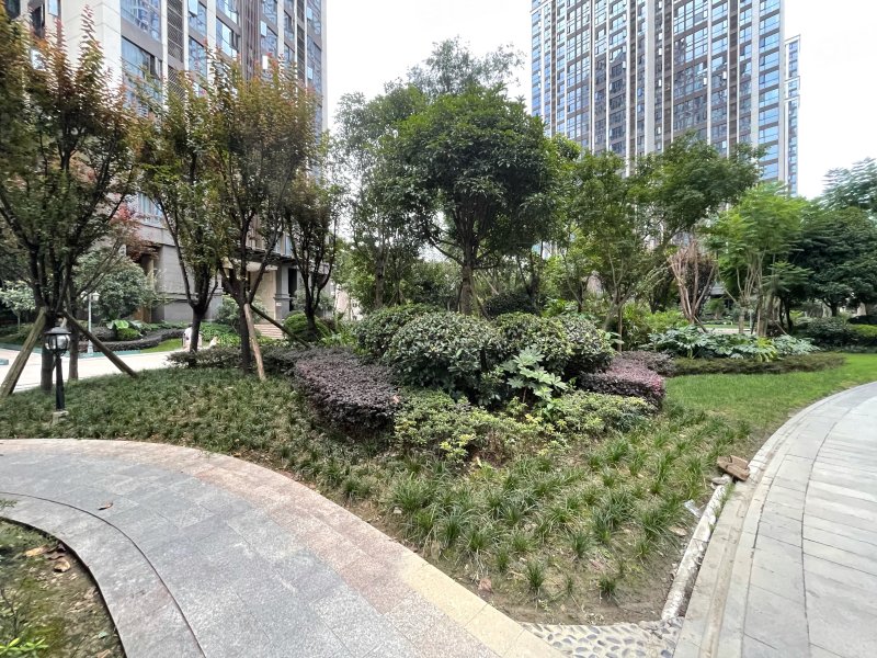 戛纳湾金棕榈(商住楼)