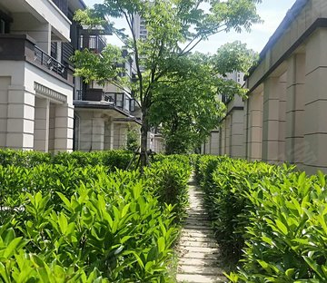 孔雀城澜院(别墅)