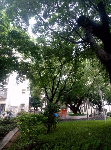 康乐园,南光路66号-深圳康乐园二手房,租房,房价-深圳安居客