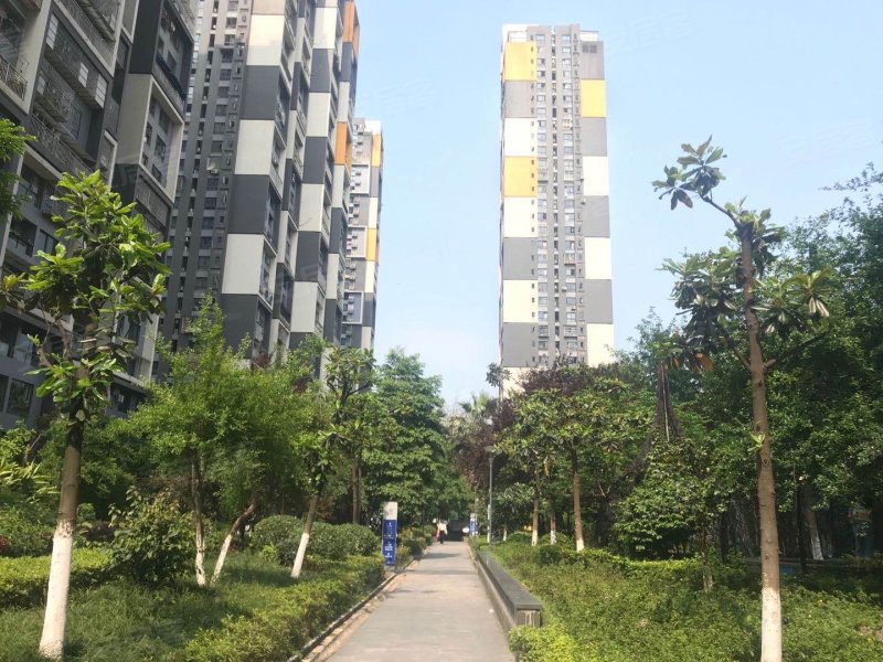 大城小爱,联芳桥13号-重庆大城小爱二手房,租房,房价-重庆安居客