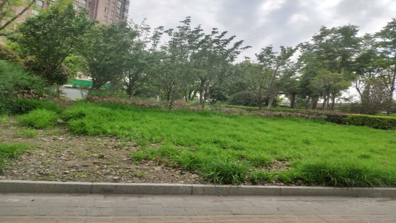 美岸栖庭(二期)