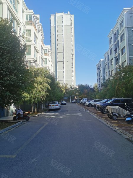 凤凰嘉苑,东四路-石河子凤凰嘉苑二手房,租房,房价-石河子安居客