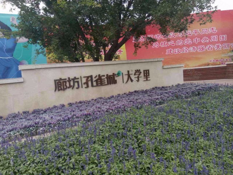 廊坊孔雀城大学里