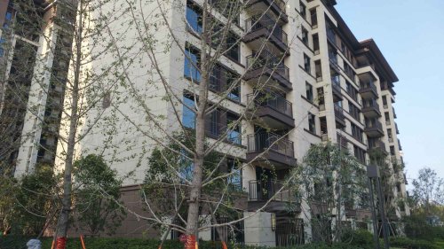 建业春天里(项城),建设路 - 项城建业春天里(项城)二手房,租房,房价