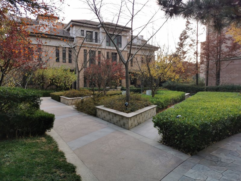 麦岛金岸(别墅)