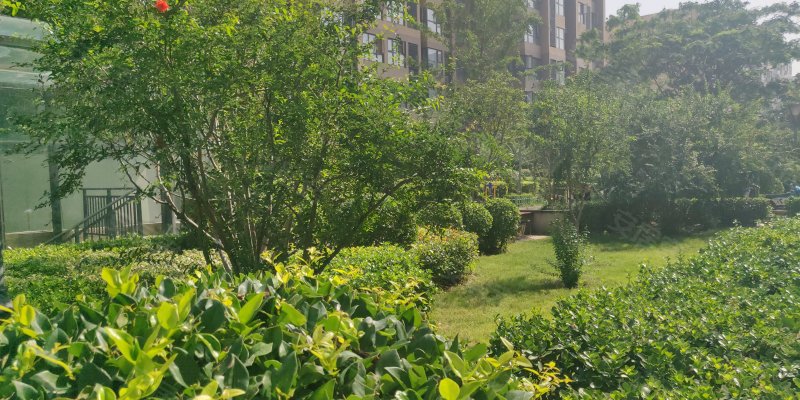 学府花园(二七),大学北路13号-郑州学府花园(二七)二手房,租房,房价