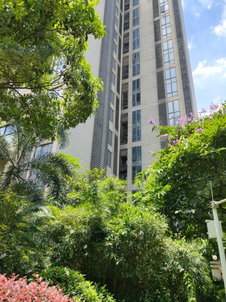 高晟广场小区,迎宾大道163号-广州高晟广场小区二手房,租房,房价-广州