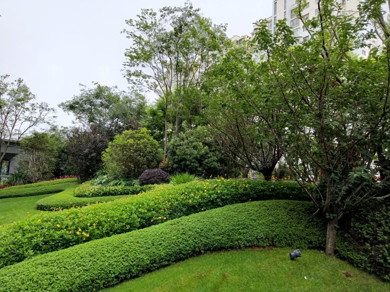 金茂广场(商住楼),广福路,近康福路-昆明金茂广场(商住楼)二手房,租房