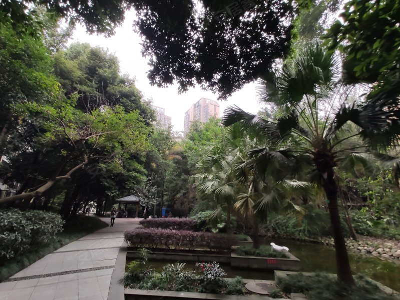 天府香城,蜀龙大道中段1030号-成都天府香城二手房,租房,房价-成都