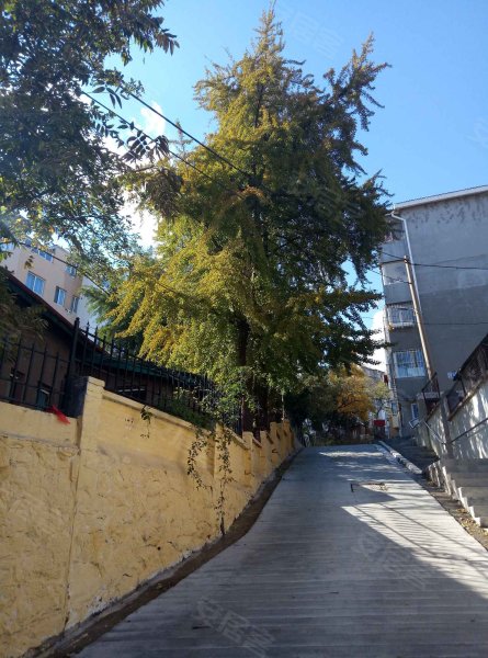 文化街小区(青云街商圈),文化街65号-大连文化街小区(青云街商圈)二手