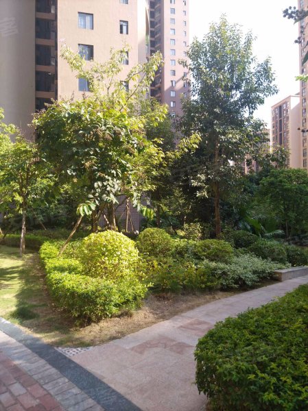 香樟林,望州南路188号-南宁香樟林二手房,租房,房价-南宁安居客