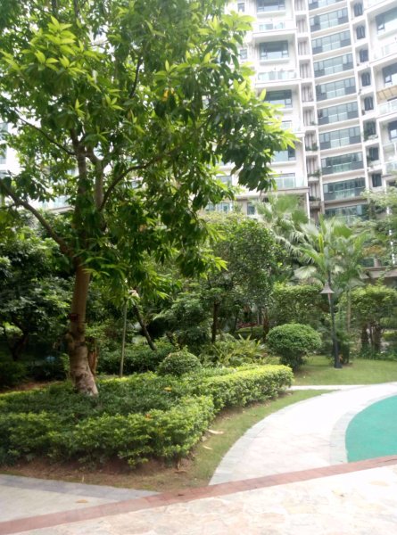 城市山林,东滨路4343号-深圳城市山林二手房,租房,房价-深圳安居客