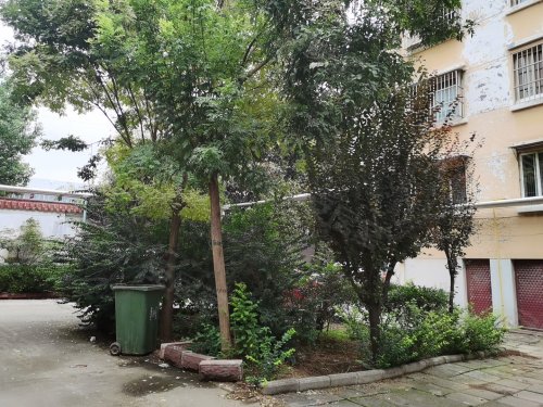 善南组团二期小区,善文街 - 滕州善南组团二期小区二手房,租房,房价