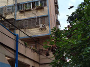 集庆路小区图片
