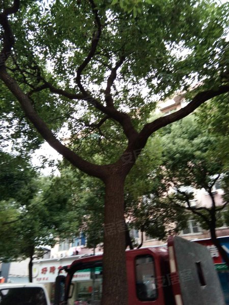 曹建路201弄小区 