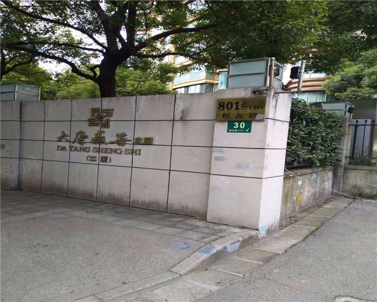 大唐盛世花园(二期) 