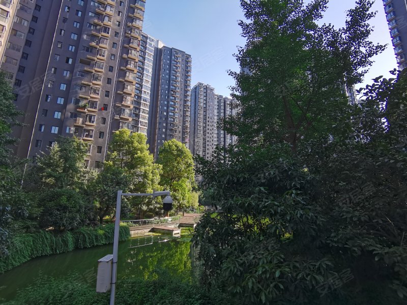 东正国际,江苏路28号-十堰东正国际二手房,租房,房价-十堰安居客