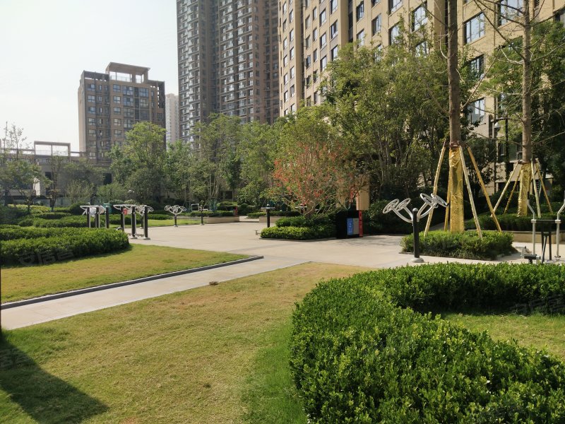 小区图