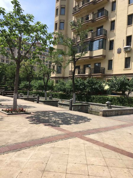 伊丽雅特湾(二期),临波路15-1号-沈阳伊丽雅特湾(二期)二手房,租房