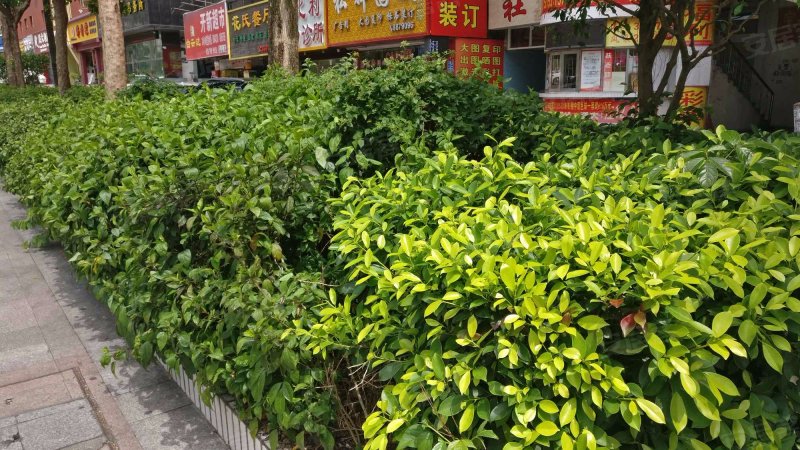 宝丰大厦,迎宾南路2018号-珠海宝丰大厦二手房,租房,房价-珠海安居客