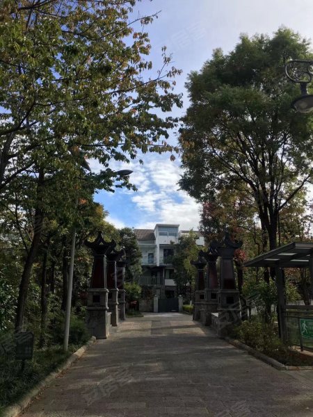 大理山水间