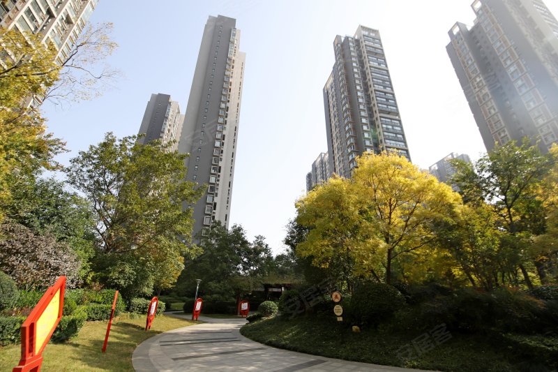 世纪华阳(1-3期),珠江路-洛阳世纪华阳(1-3期)二手房,租房,房价-洛阳