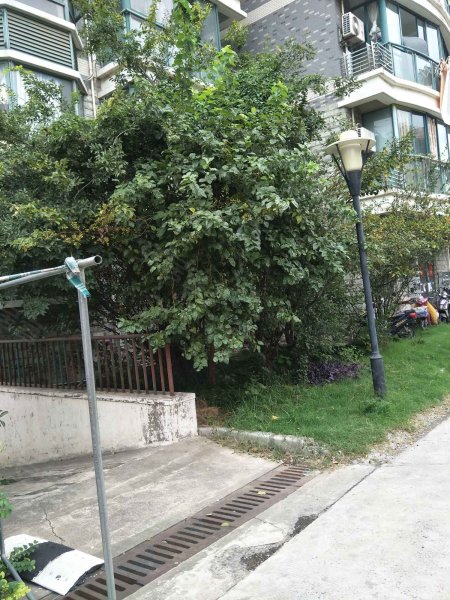 绿福公寓(西区)